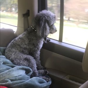 Meet your Posher, Jerrica